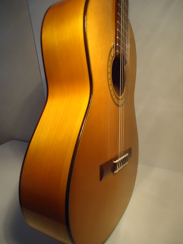 Guitarra Francisco Navarro 2020