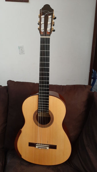 Guitarra Fernando González 2017