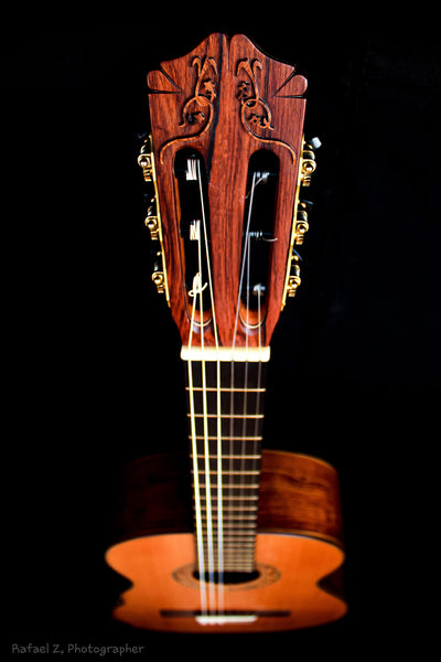 Guitarra Jose Zalapa Aleman 2020
