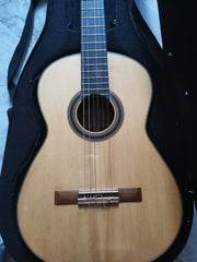 Guitarra Agustin Enriquez 2015
