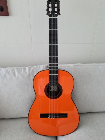 Guitarra Juan Pimentel 2018