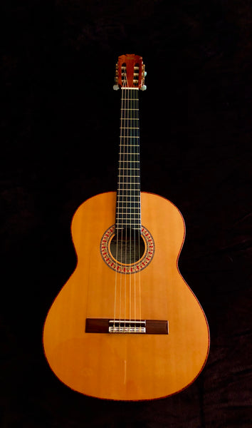 Guitarra Manuel Rodríguez 2005