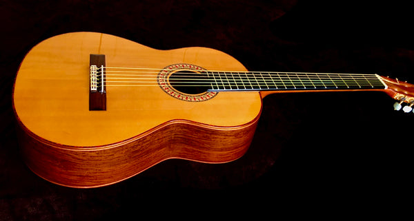 Guitarra Manuel Rodríguez 2005