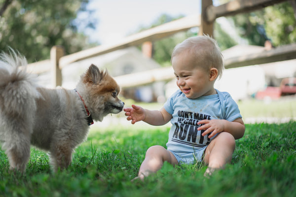 child and dog