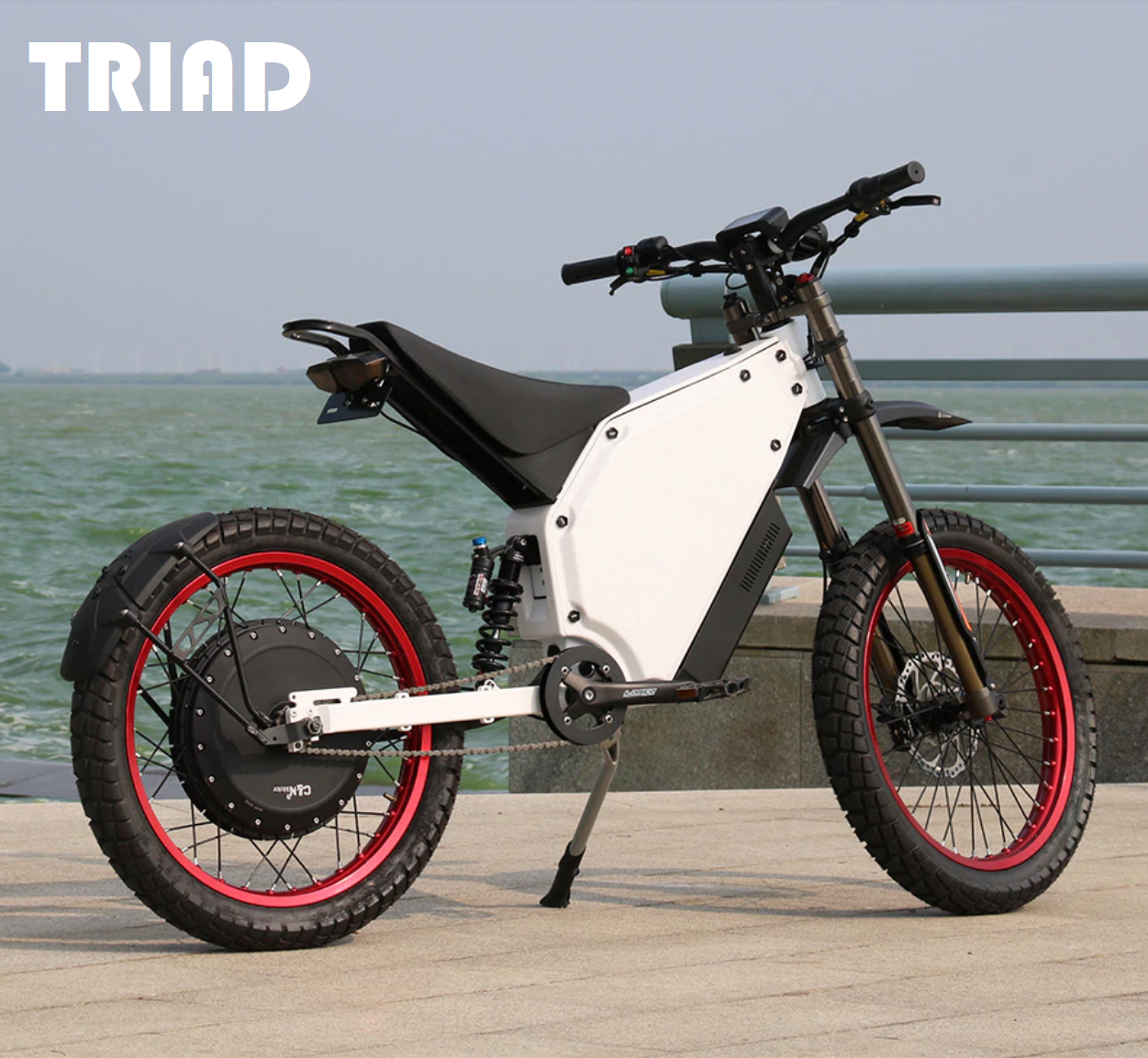 triad e bike