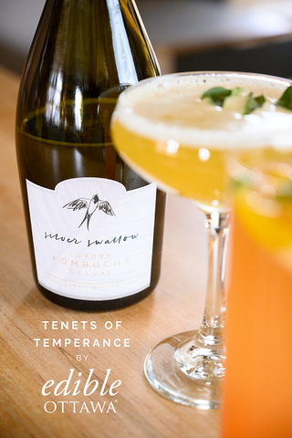 Bottle of Silver Swallow Kombucha with two non-alcoholic cocktails and the text "Tenets of Temperance by Edible Ottawa"