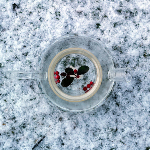Eastern Teaberry's steeps in a glass teapot in a snowy scene