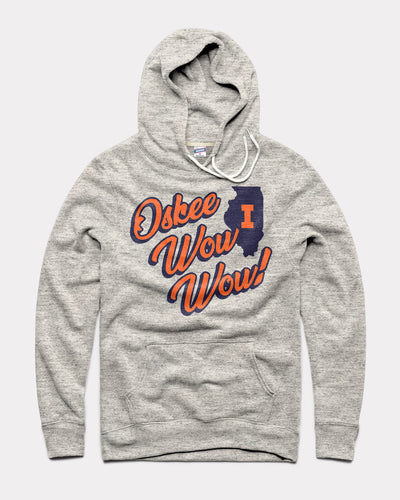 Illinois Block I Athletic Grey Vintage Hoodie