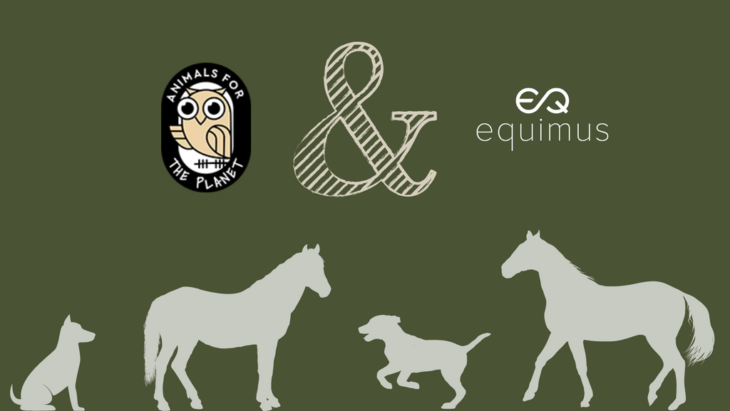 animals for the planet & equimus