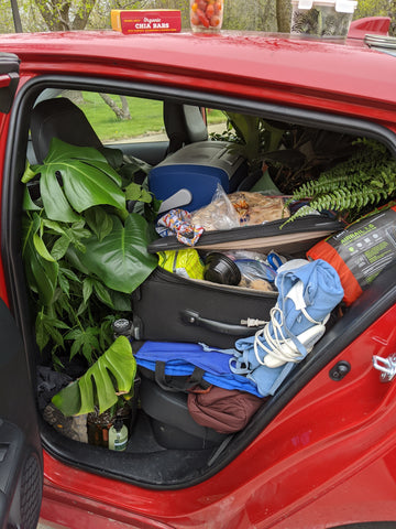 car full of plants, suitcases and food during a road trip