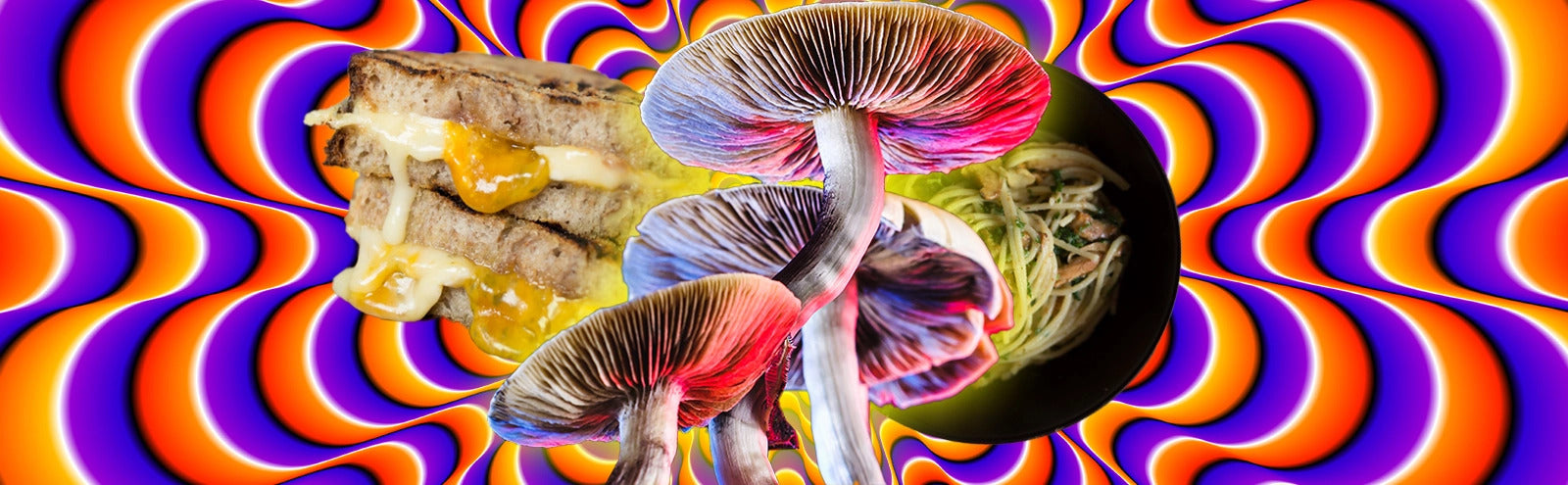 Magic Mushrooms