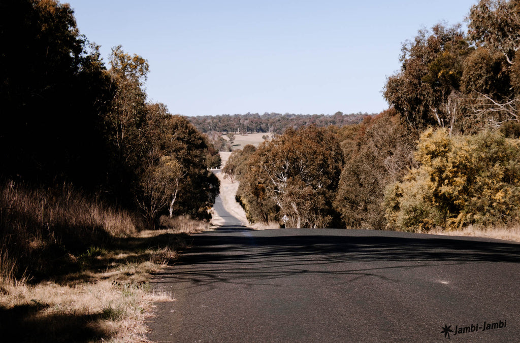 Walcha Road hotel lunch cycling route