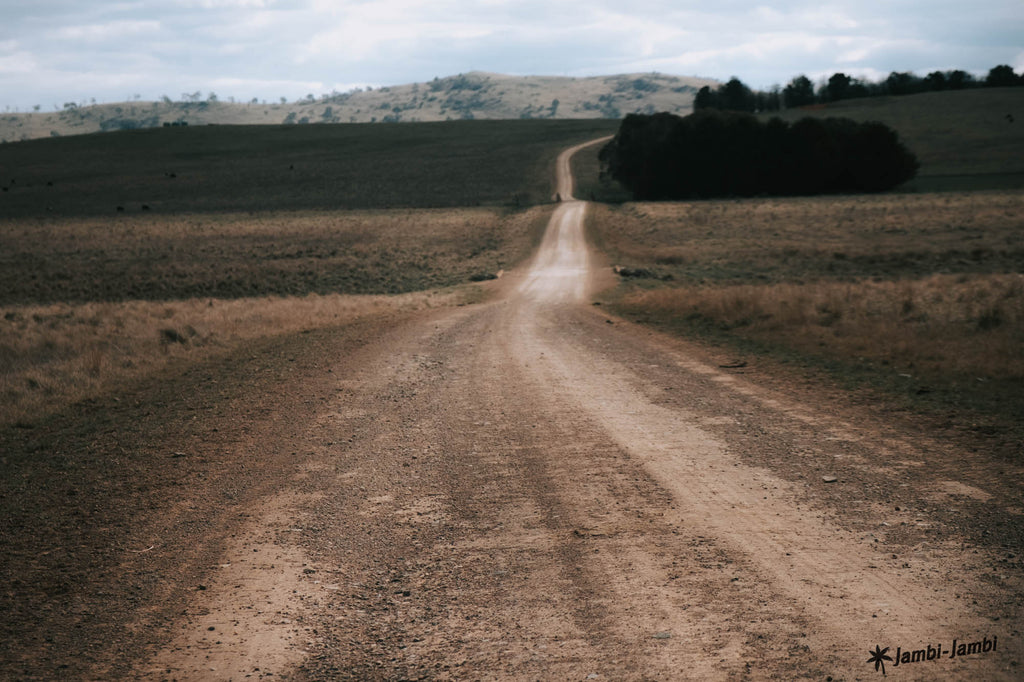 Walcha to Kentucky jambi jambi bicycle route