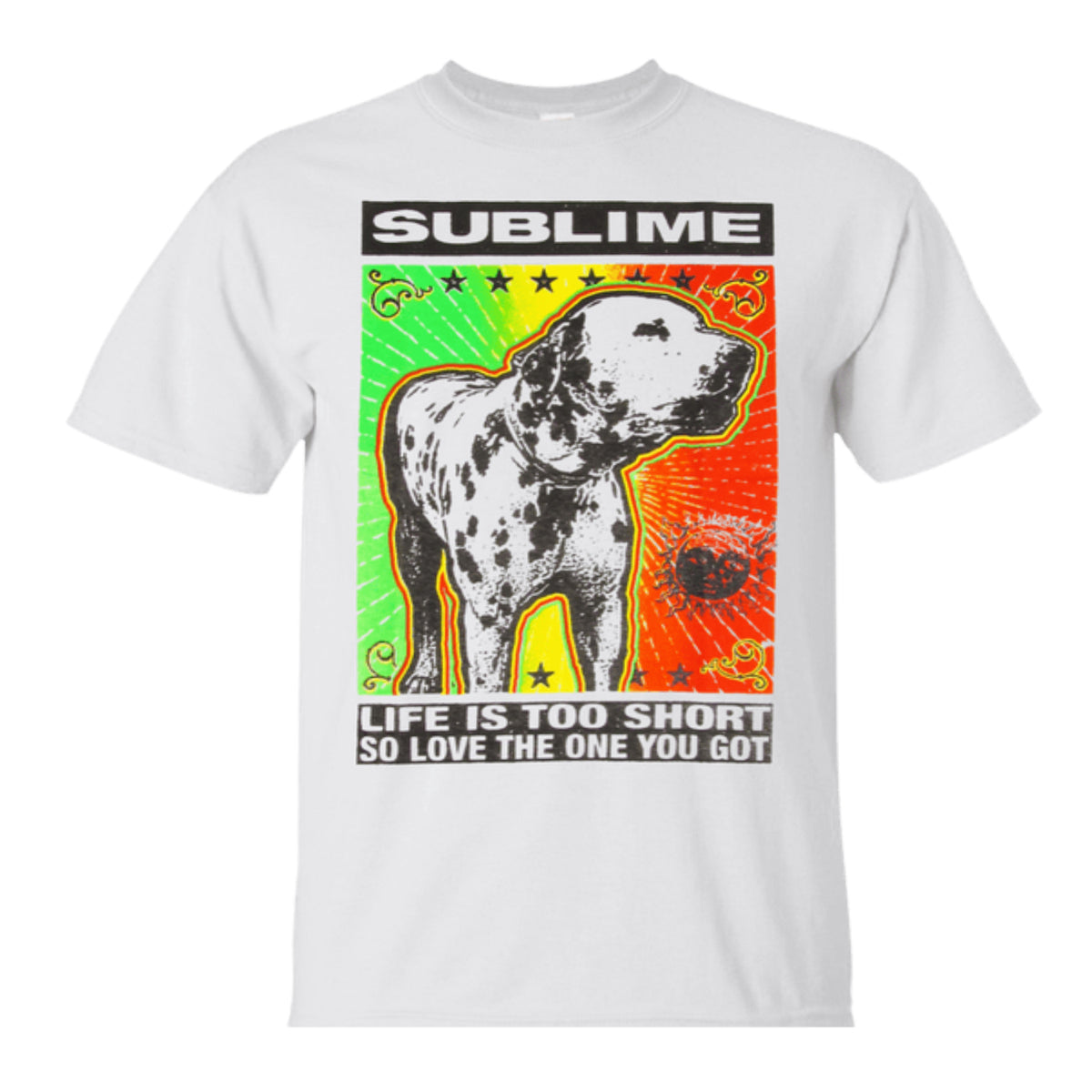 what happened to lou dog from sublime