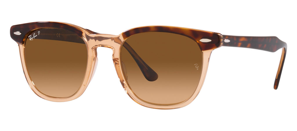Tom Ford Philippe TF02 999 02D 58 16 Sunglasses