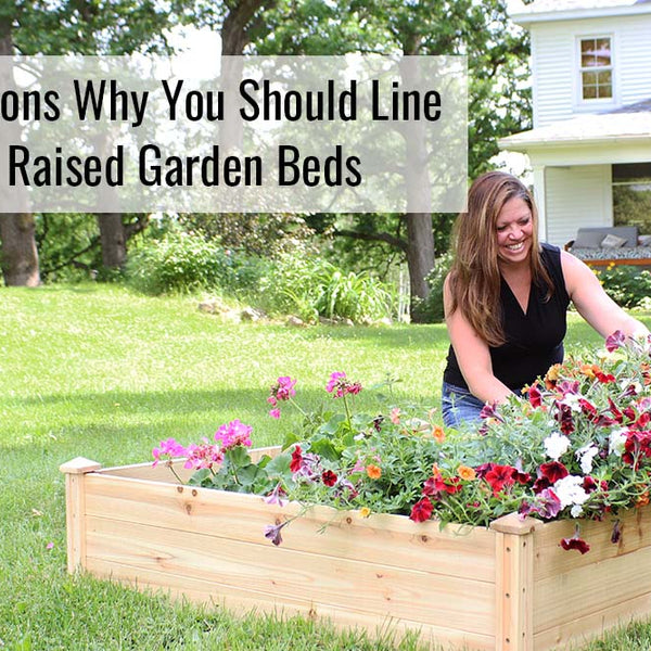 5 Reasons Why You Should Line Your Raised Garden Beds – Sunnydaze Decor