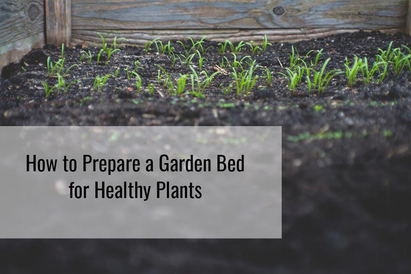 How To Prepare A Garden Bed For Healthy Plants Sunnydaze Decor