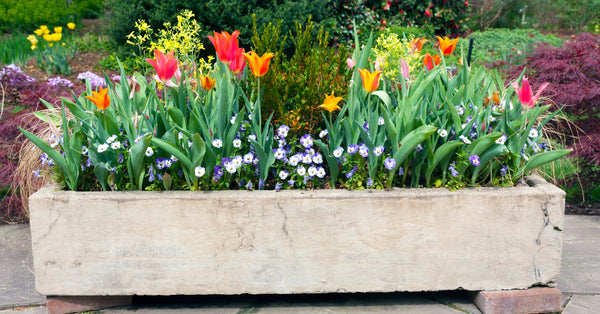 Heavier Planter