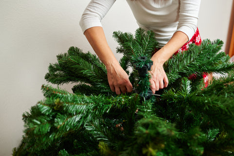 Woman Fluffing Christmas Tree Branches