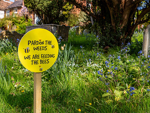 Pollinator garden with sign