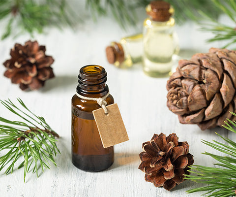 essential oil bottle near pinecones