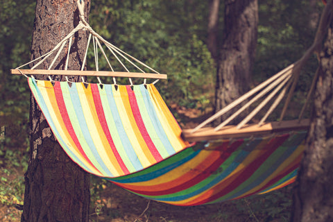 Hammock between two trees