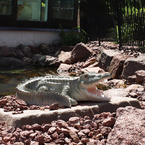 Chloe the Crocodile near a patio pond