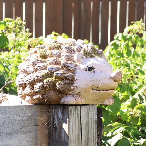 Hedgehog statue on a deck outdoors