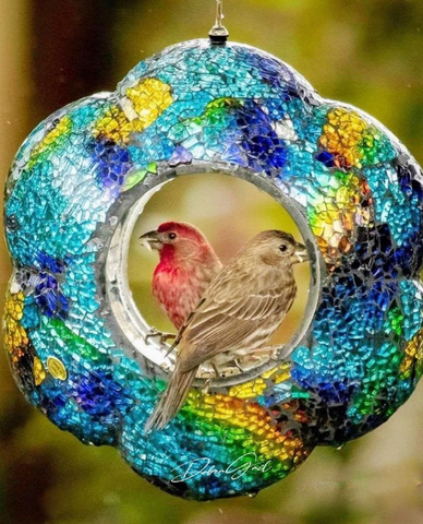 Two birds enjoying a meal on a Sunnydaze  Mosaic Bird Feeder.