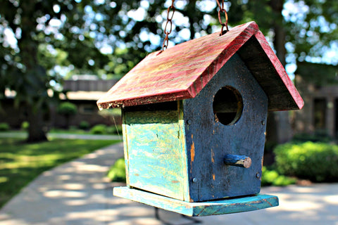 Adding a bird house is a great way to attract birds to your yard or bird feeder.
