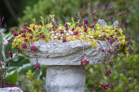 DIY Hanging Birdbath - Birds and Blooms