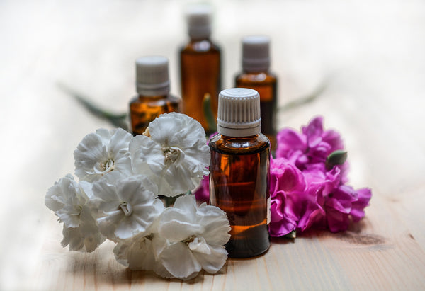 Using essential oils have proven to be a natural way to keep bugs away from plants.