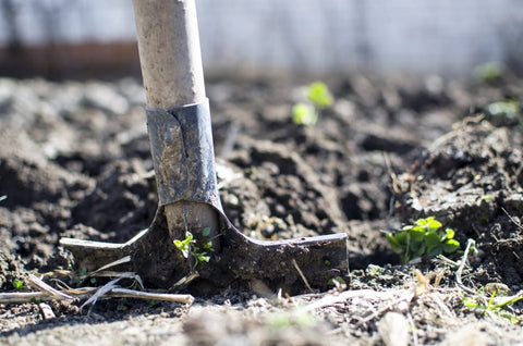 Shovel digging into the garden bed soil