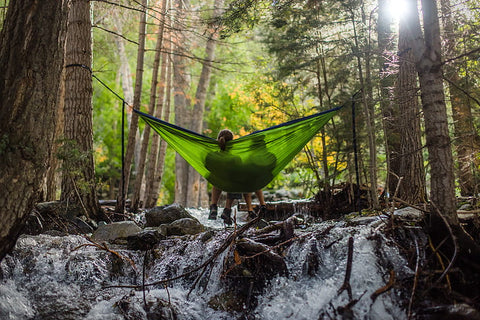 Hanging a hammock from trees in a forest.