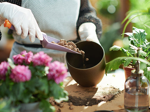 Adding pebbles to a planter