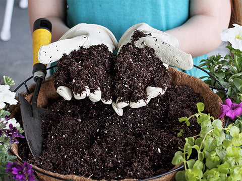 Scooping potting soil into a pot