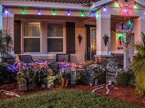 green and purple string lights on house