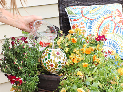 Watering globe being filled with water