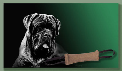 mastiff dog online store