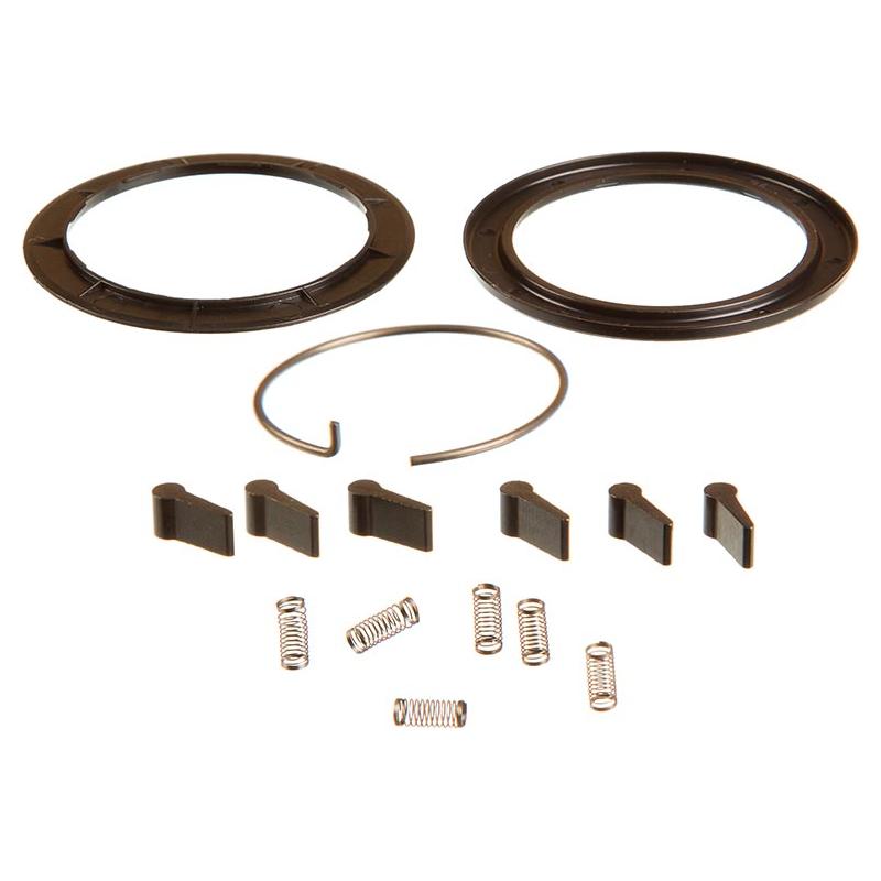 Zipp Spring and Pawl Set - ZR1