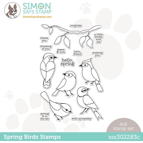 Celebrate Bird Stamps and Dies Set for Card Making,Clear Stamps and Metal  Cutting Dies Sets for Scrapbooking DIY Album Card Making Supplies