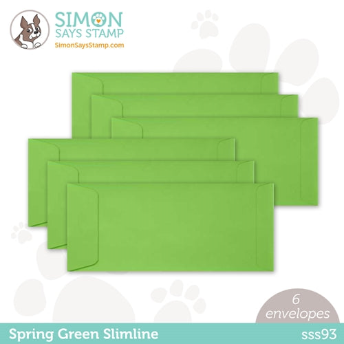 Simon Says Stamp Envelopes SET 5 SSSS517