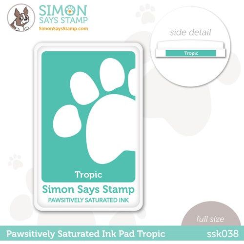 Simon Says Stamp Embossing Ink Pad CLEAR INK066