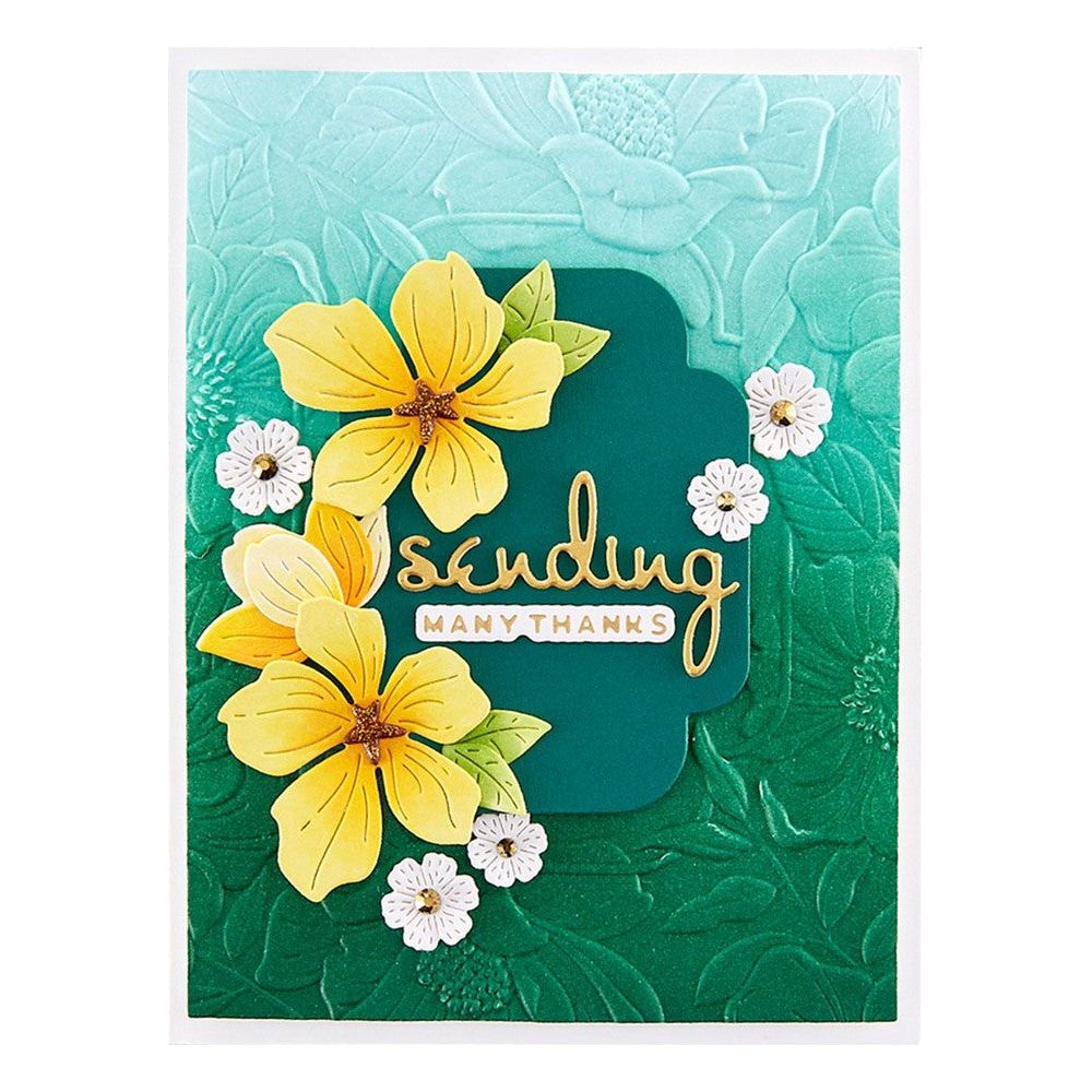 SPELLBINDERS: Beautiful Blooms  3D Embossing Folder – Doodlebugs