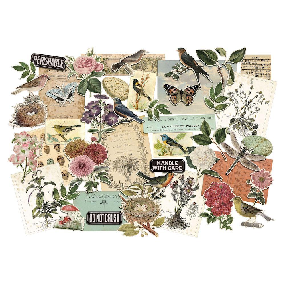 Tim Holtz Idea-Ology Paper Stash: Dapper - 040861932607