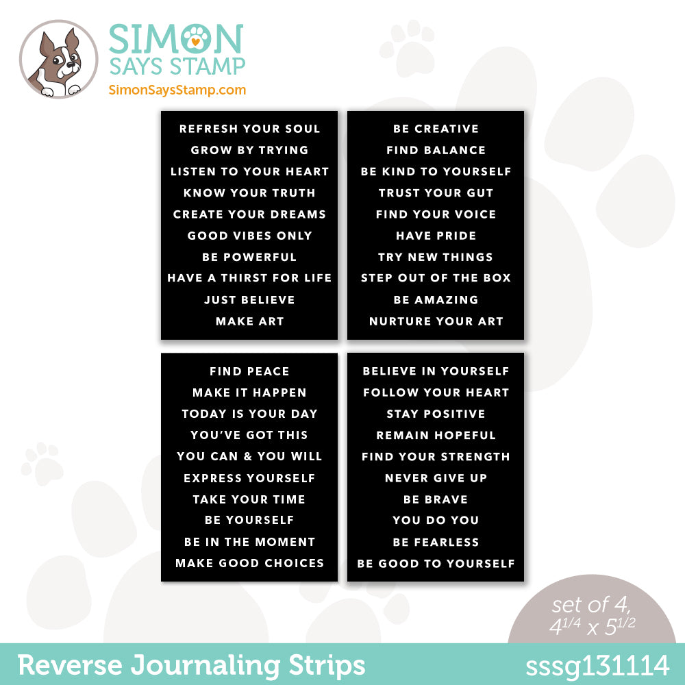 Simon Says Stamp Beginner Stamper Card Kit sssbck23