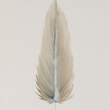 MEDIUM FLOATED FRAMED FEATHER SERIES 5 PAINTING #4