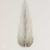 LARGE FRAMED FLOATED FEATHER SERIES 10 PAINTING #2