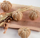 DRIED COCO FIBER RAFFIA PUMPKIN