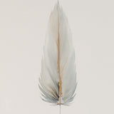 MEDIUM FLOATED FRAMED FEATHER SERIES 5 PAINTING #7